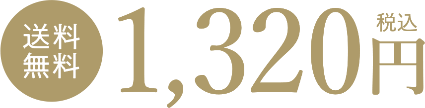 送料無料1,320円(税込)